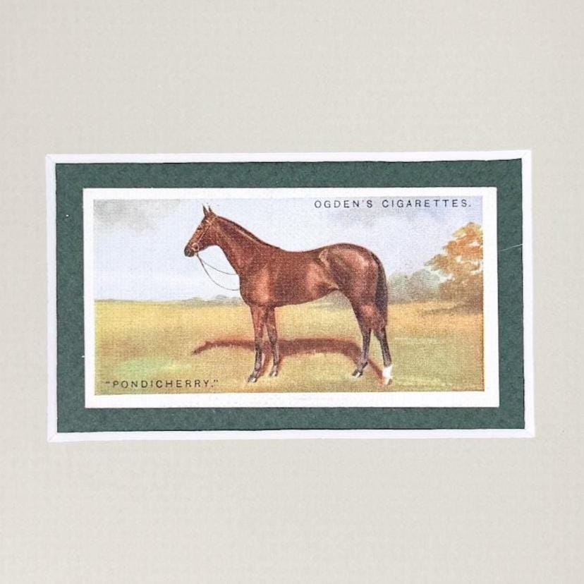 Framed Antique Race Horse Derby Cigarette Card c. 1928, Pondicherry
