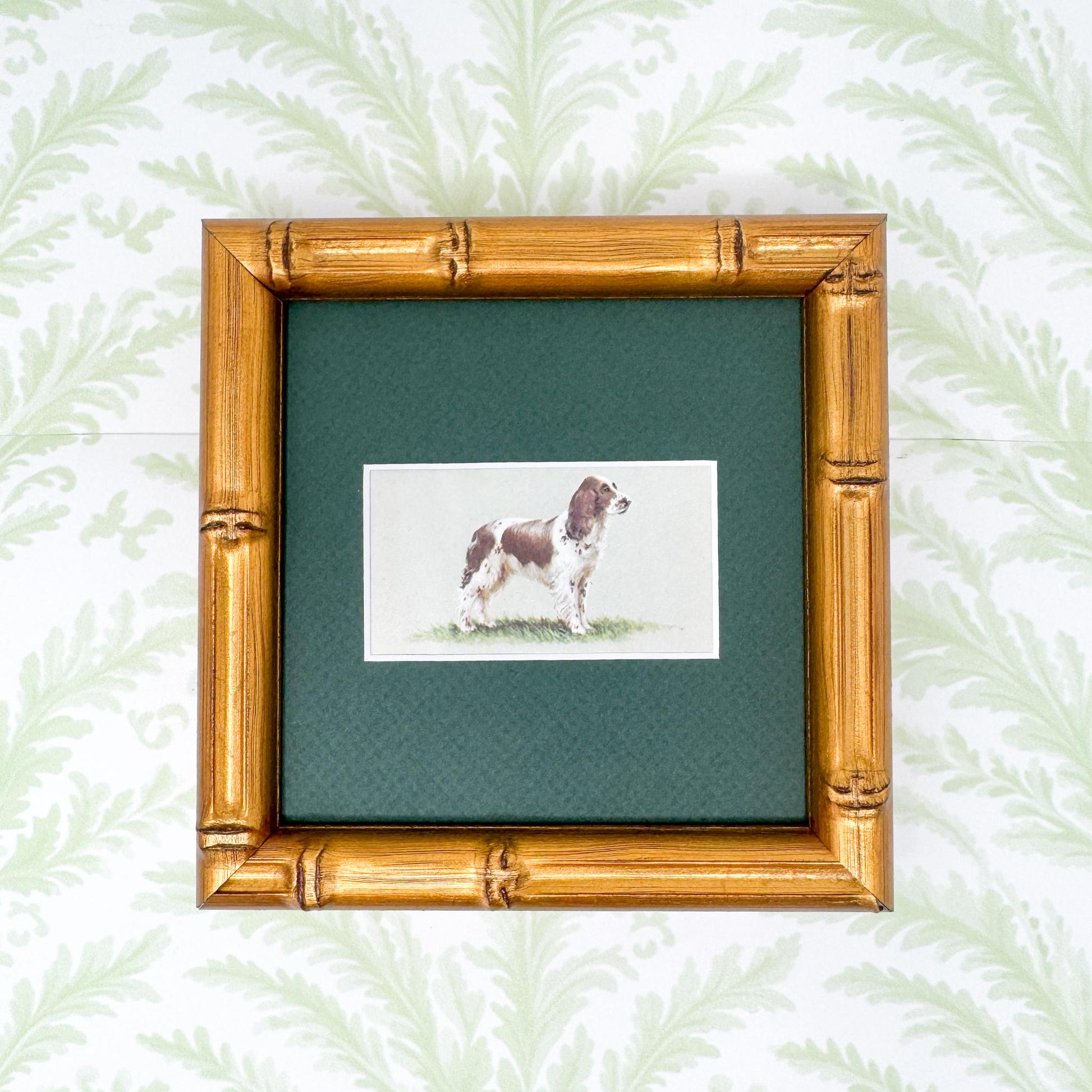 Framed Vintage Dog Cigarette Card c. 1971, English Springer Spaniel