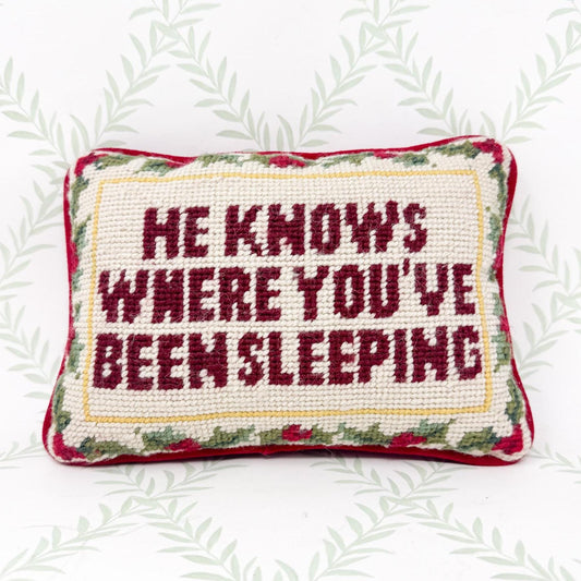 Vintage Christmas Needlepoint Pillow, He Knows Where You've Been Sleeping