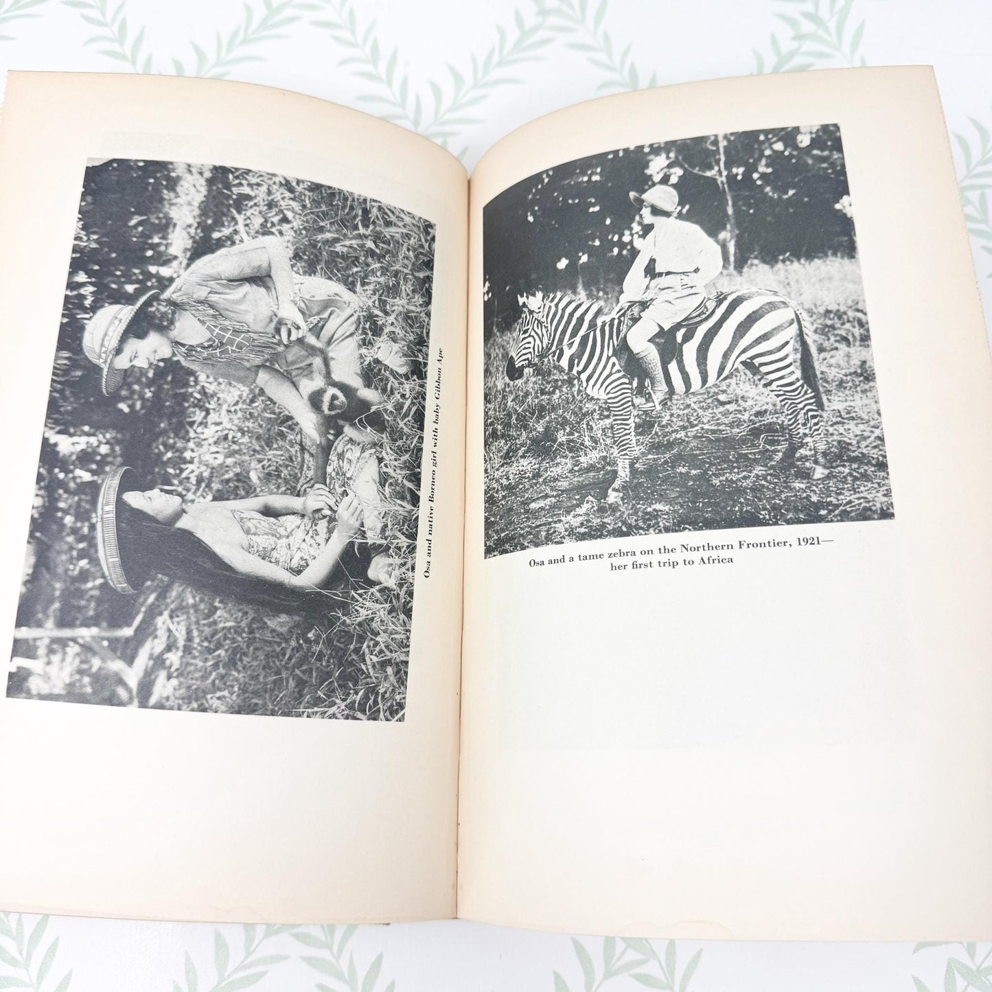 I Married Adventure by Osa Johnson, 1940 First Edition