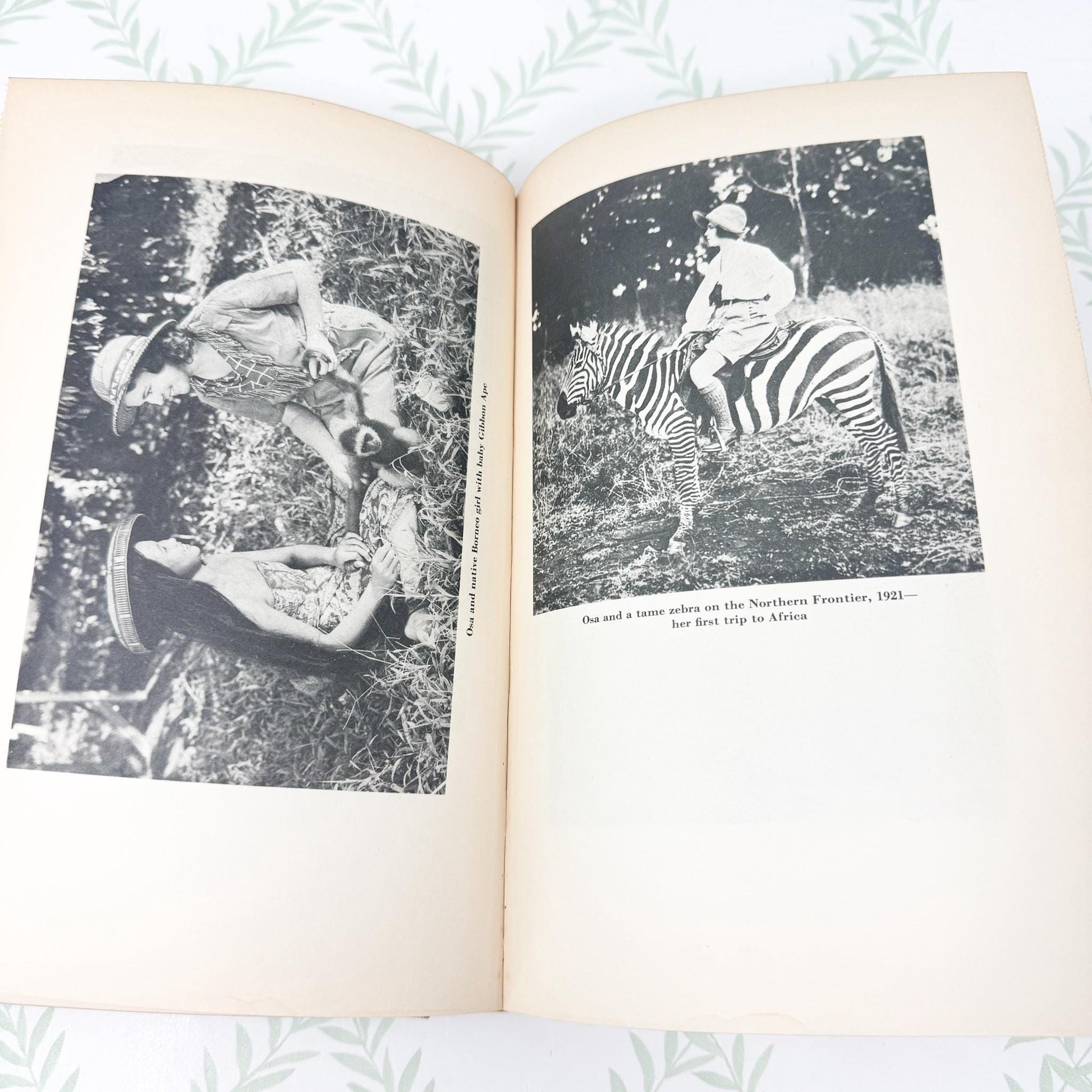 I Married Adventure by Osa Johnson, 1940 First Edition