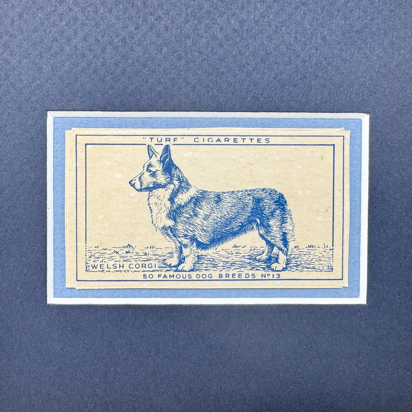 Framed Vintage Dog Cigarette Card c. 1952, Welsh Corgi