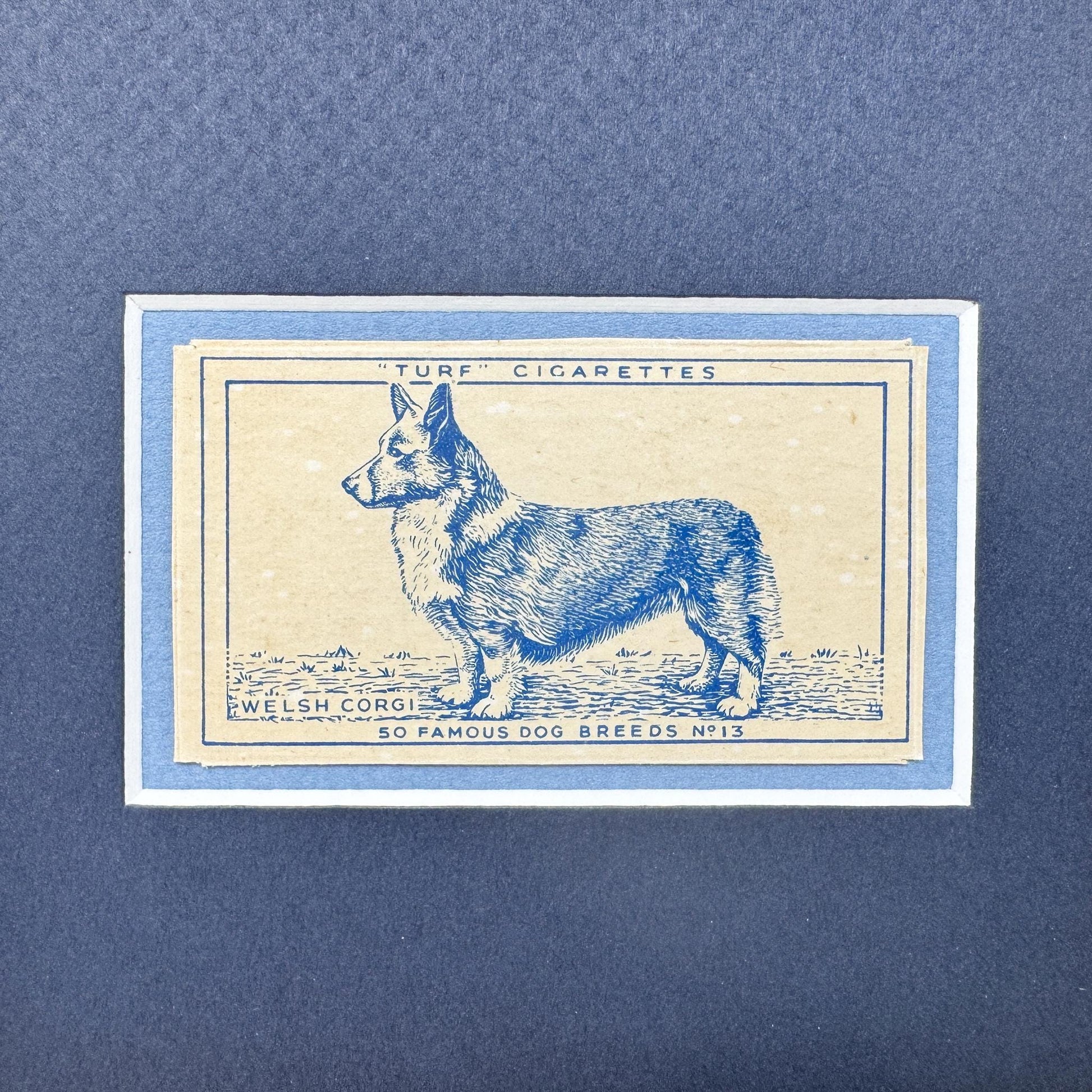 Framed Vintage Dog Cigarette Card c. 1952, Welsh Corgi