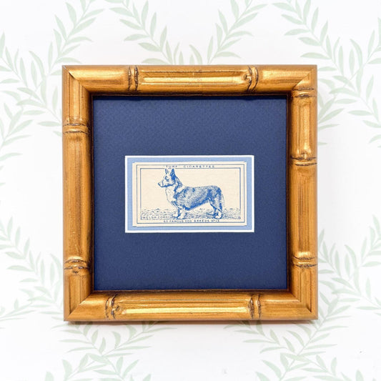 Framed Vintage Dog Cigarette Card c. 1952, Welsh Corgi
