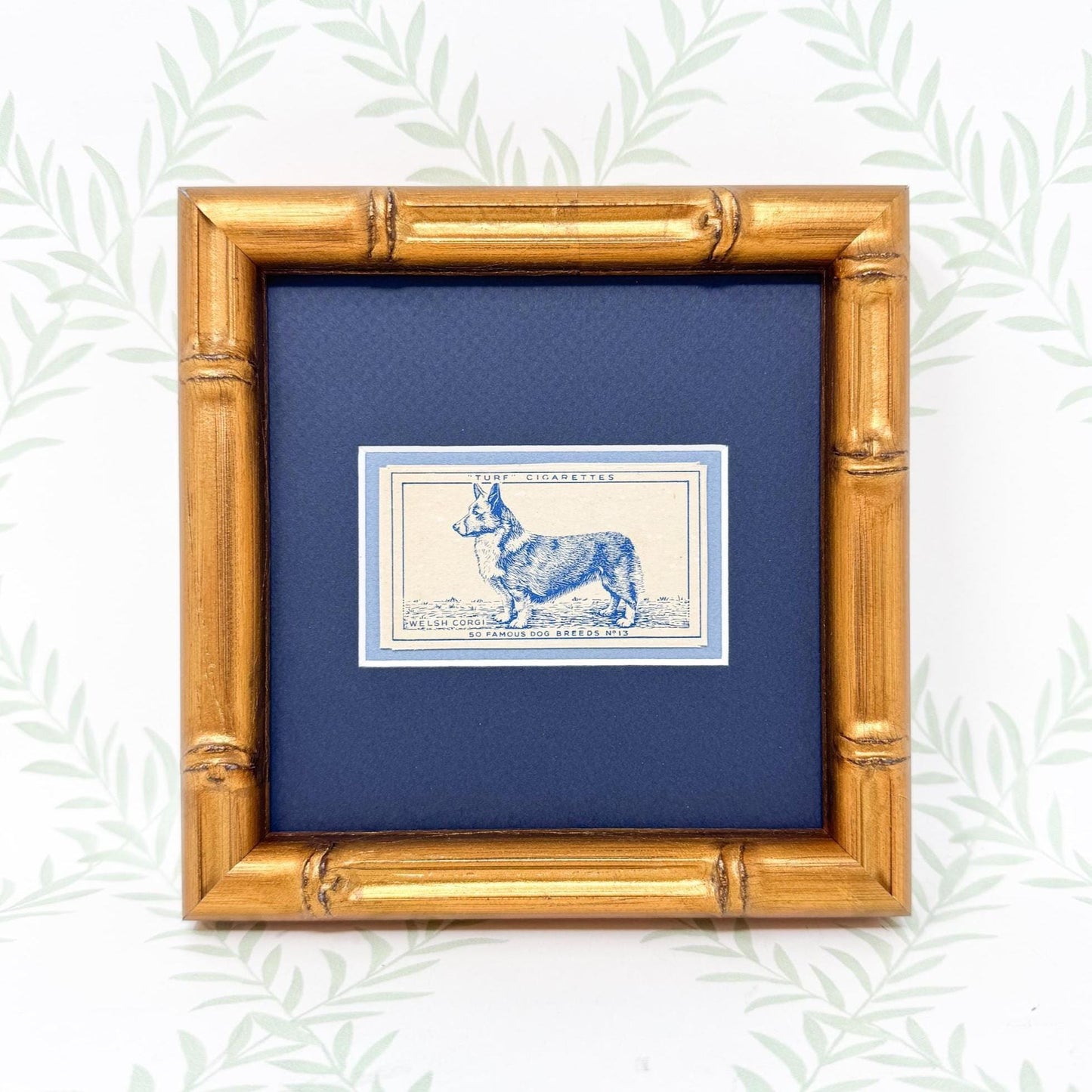 Framed Vintage Dog Cigarette Card c. 1952, Welsh Corgi