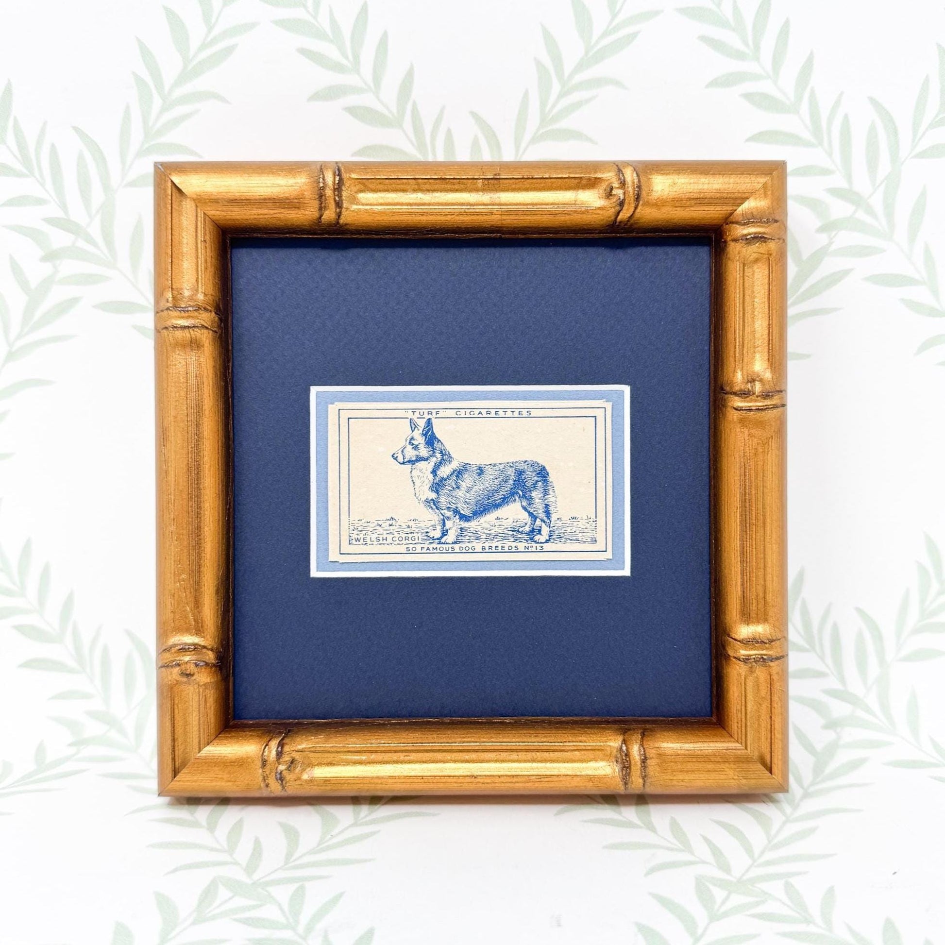 Framed Vintage Dog Cigarette Card c. 1952, Welsh Corgi