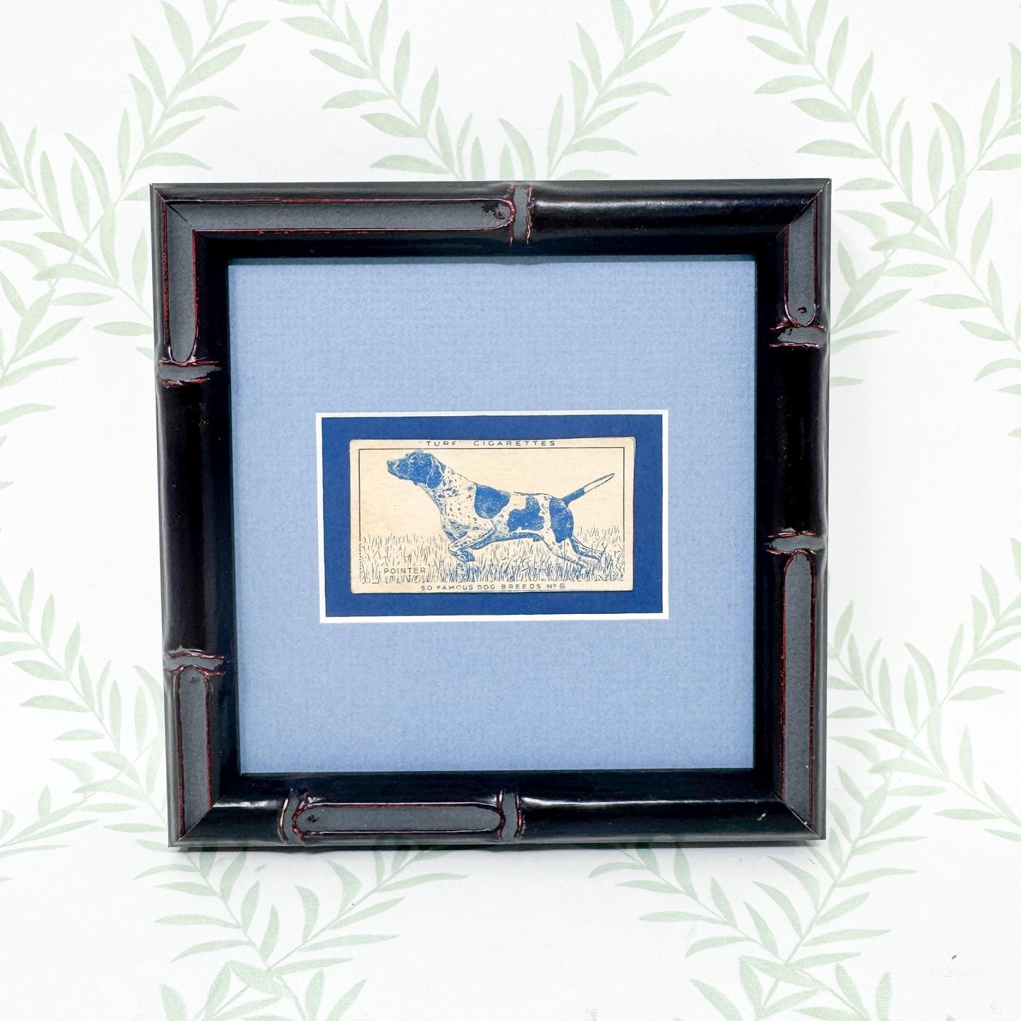 Framed Vintage Dog Cigarette Card c. 1952, Pointer