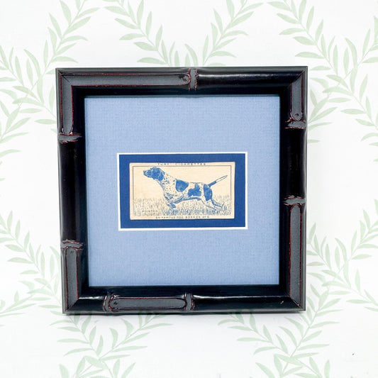 Framed Vintage Dog Cigarette Card c. 1952, Pointer