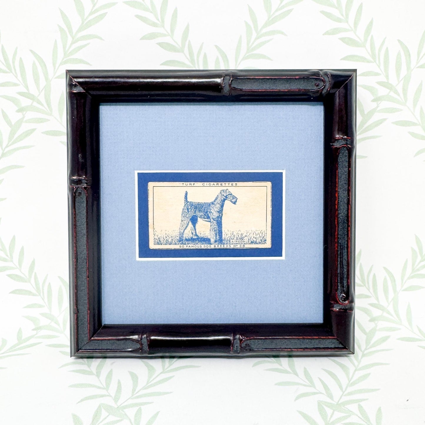 Framed Vintage Dog Cigarette Card c. 1952, Airedale Terrier