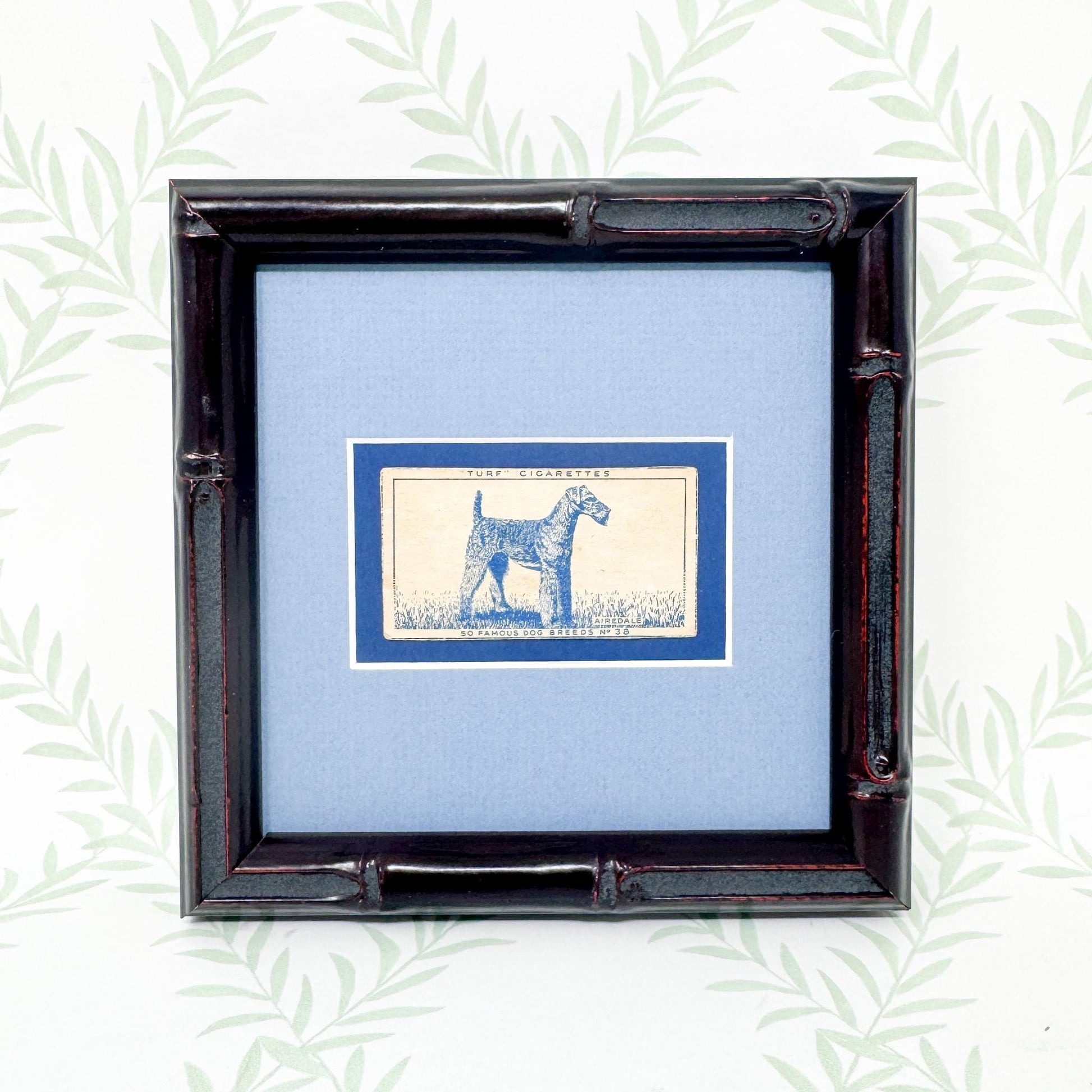 Framed Vintage Dog Cigarette Card c. 1952, Airedale Terrier