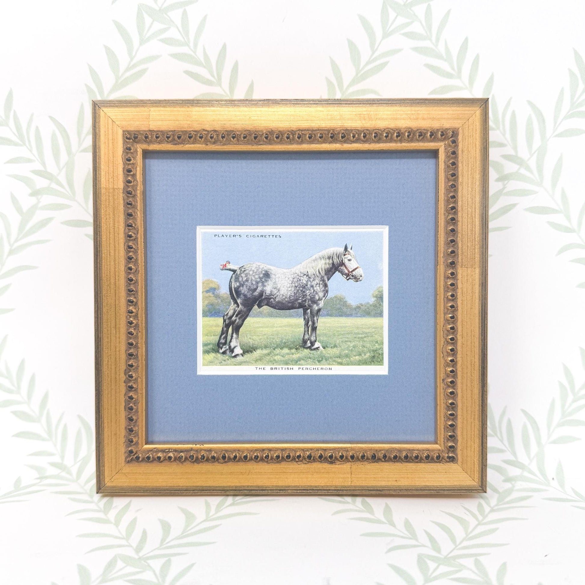 Framed Vintage Horse Cigarette Card c. 1939, British Percheron
