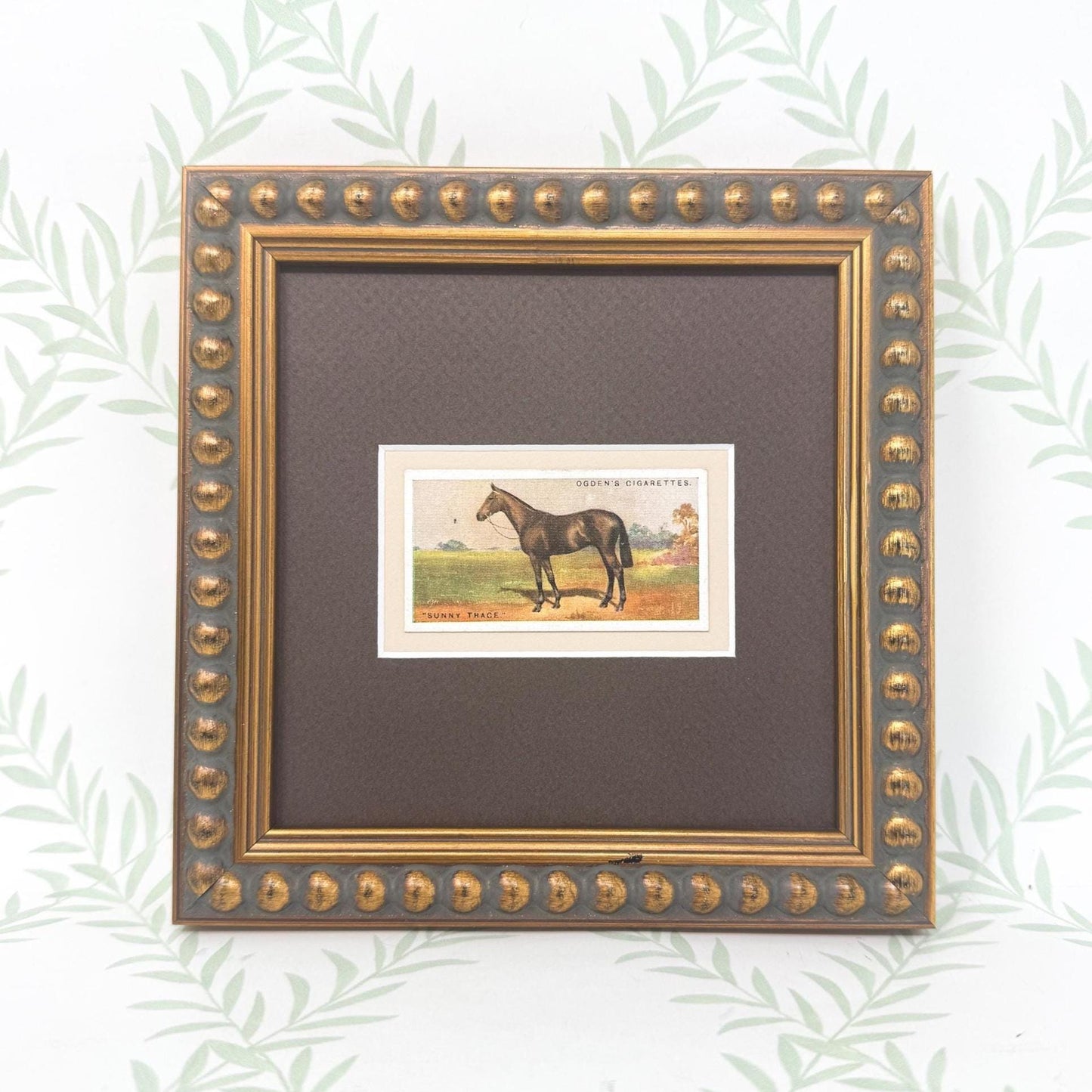Framed Antique Race Horse Derby Cigarette Card c. 1928, Sunny Trace