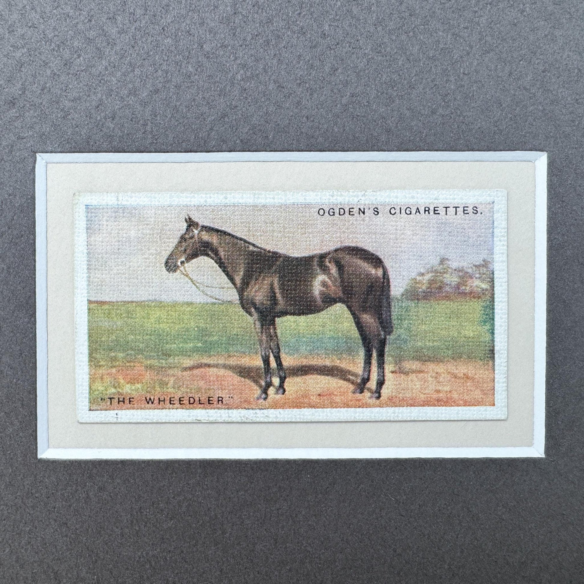 Framed Antique Race Horse Derby Cigarette Card c. 1928, The Wheedler