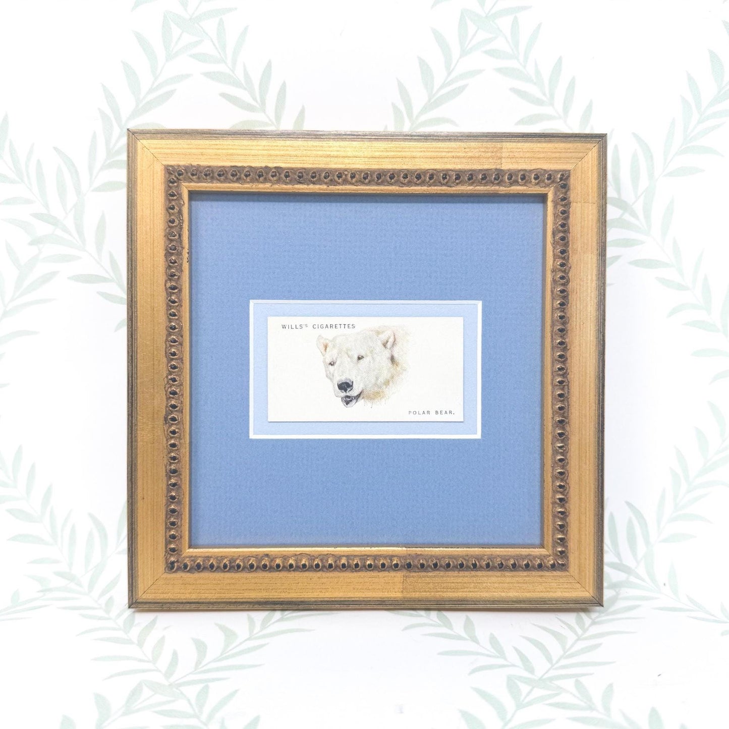 Framed Antique Cigarette Card c. 1931, Polar Bear