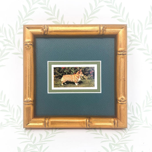 Framed Vintage Dog Cigarette Card, Corgi