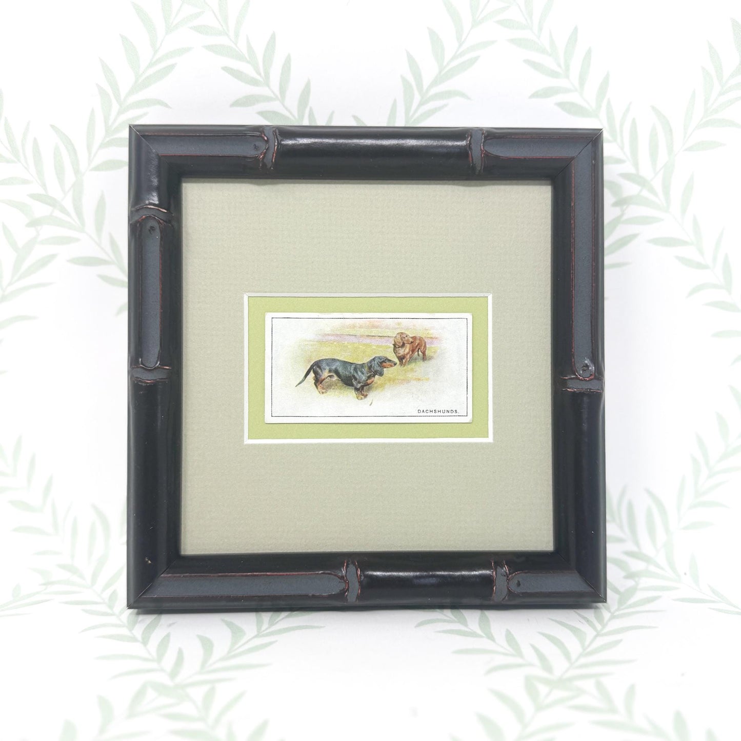 Framed Vintage Dog Cigarette Card, Dachshunds