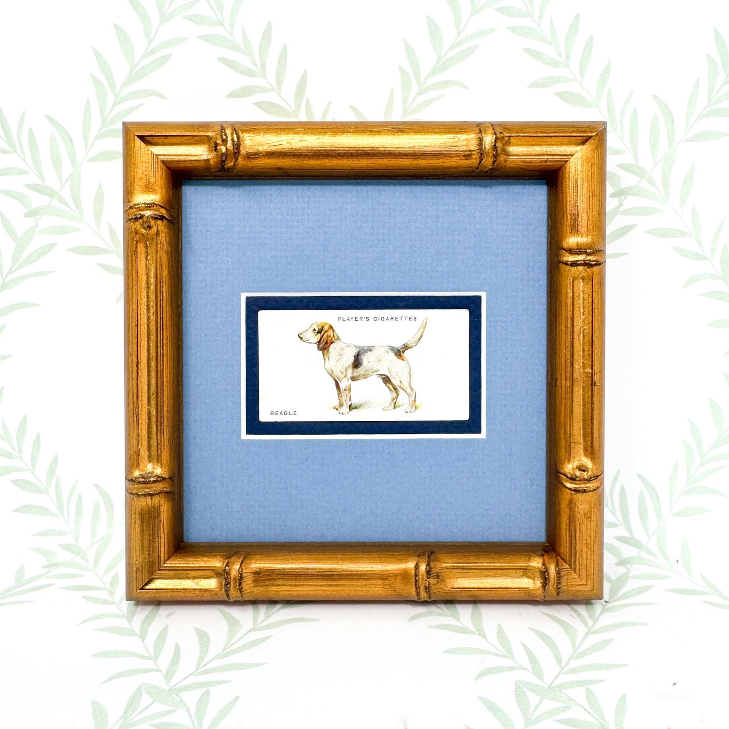 Framed Antique Dog Cigarette Card c. 1929, Beagle