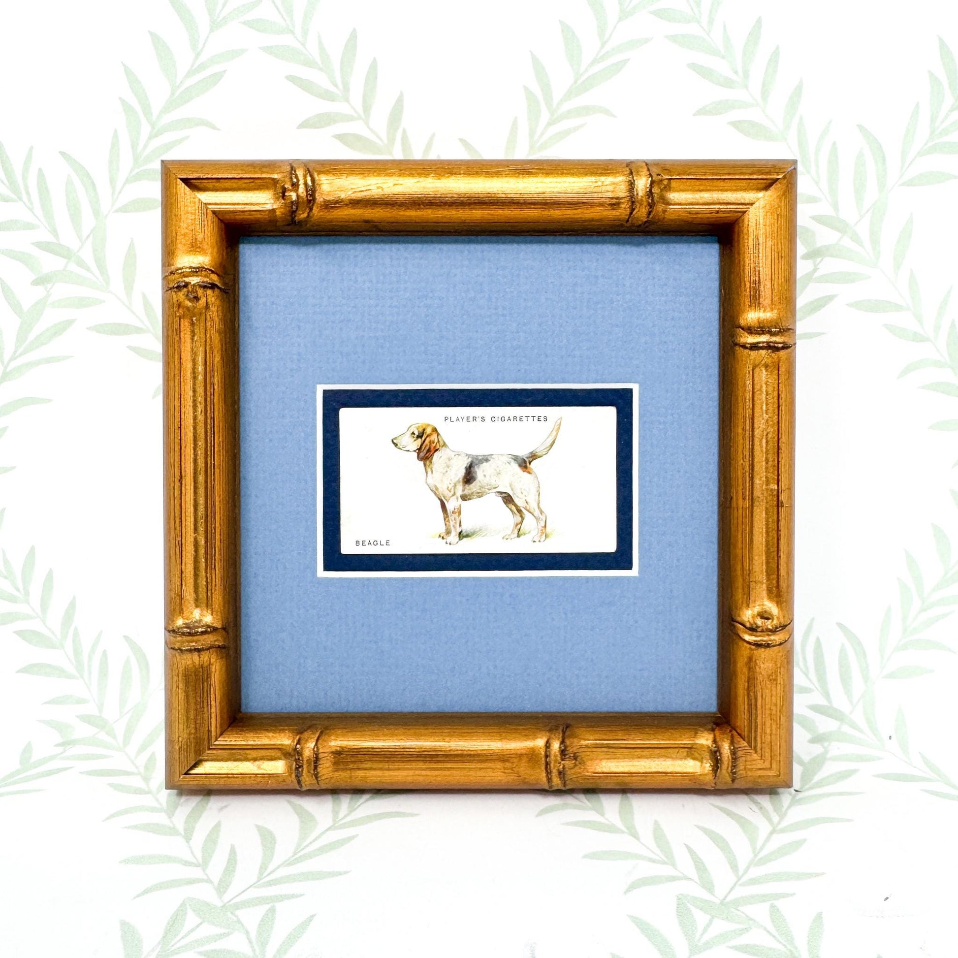 Framed Antique Dog Cigarette Card c. 1929, Beagle