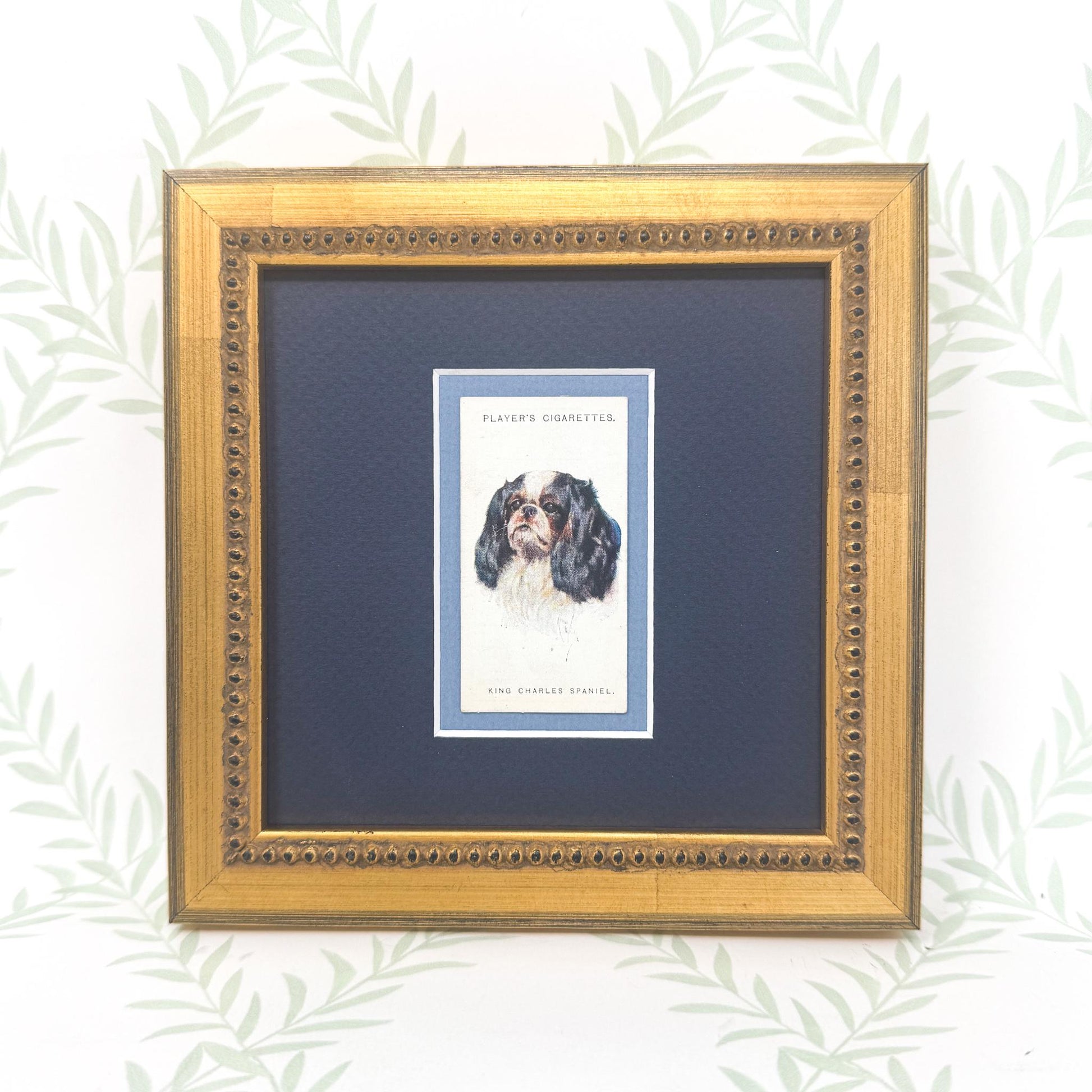 Framed Antique Dog Cigarette Card c. 1929, King Charles Cavalier Spaniel