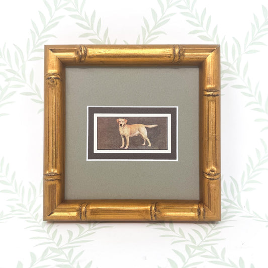 Framed Vintage Dog Cigarette Card, Yellow Labrador Retriever