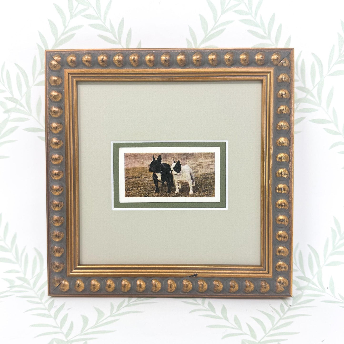 Framed Vintage Dog Cigarette Card, French Bulldog