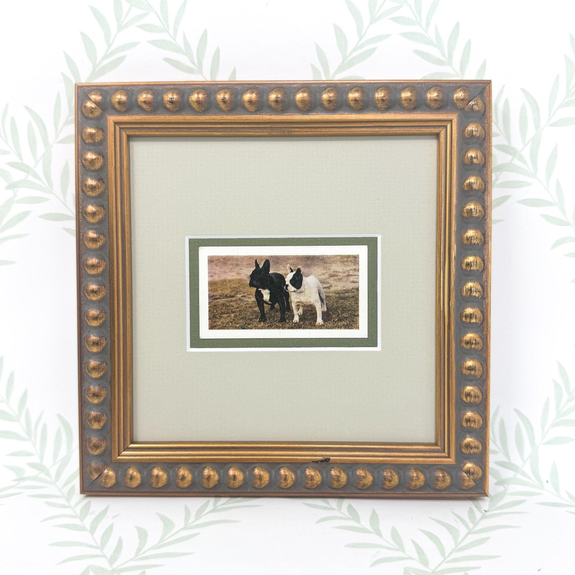 Framed Vintage Dog Cigarette Card, French Bulldog
