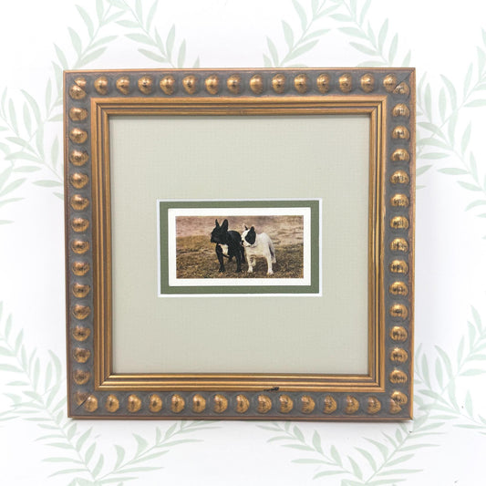 Framed Vintage Dog Cigarette Card, French Bulldog