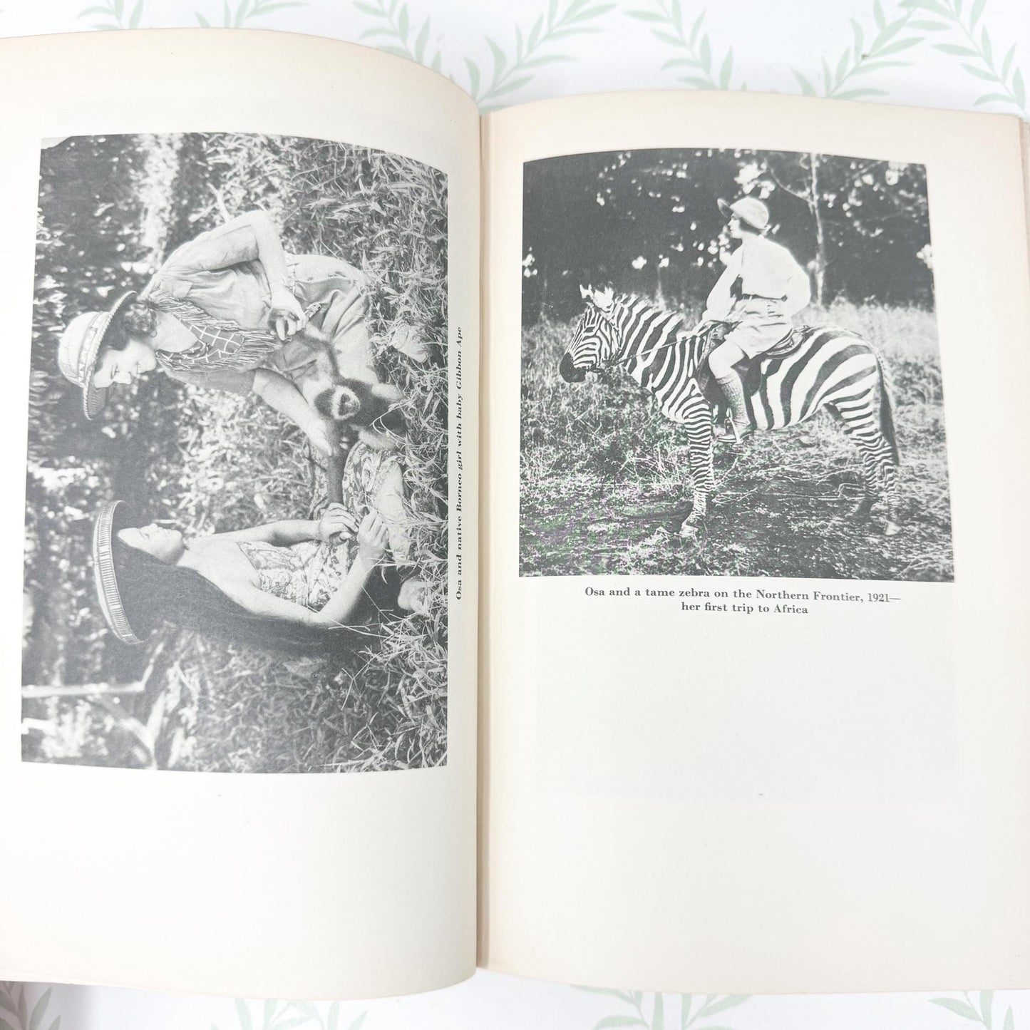 I Married Adventure by Osa Johnson, 1940 First Edition