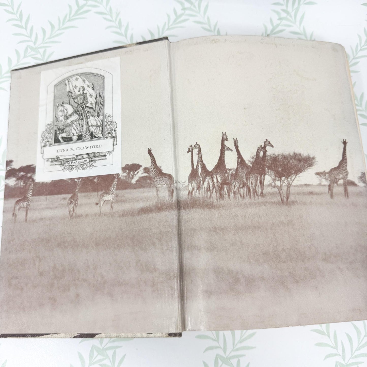 I Married Adventure by Osa Johnson, 1940 First Edition