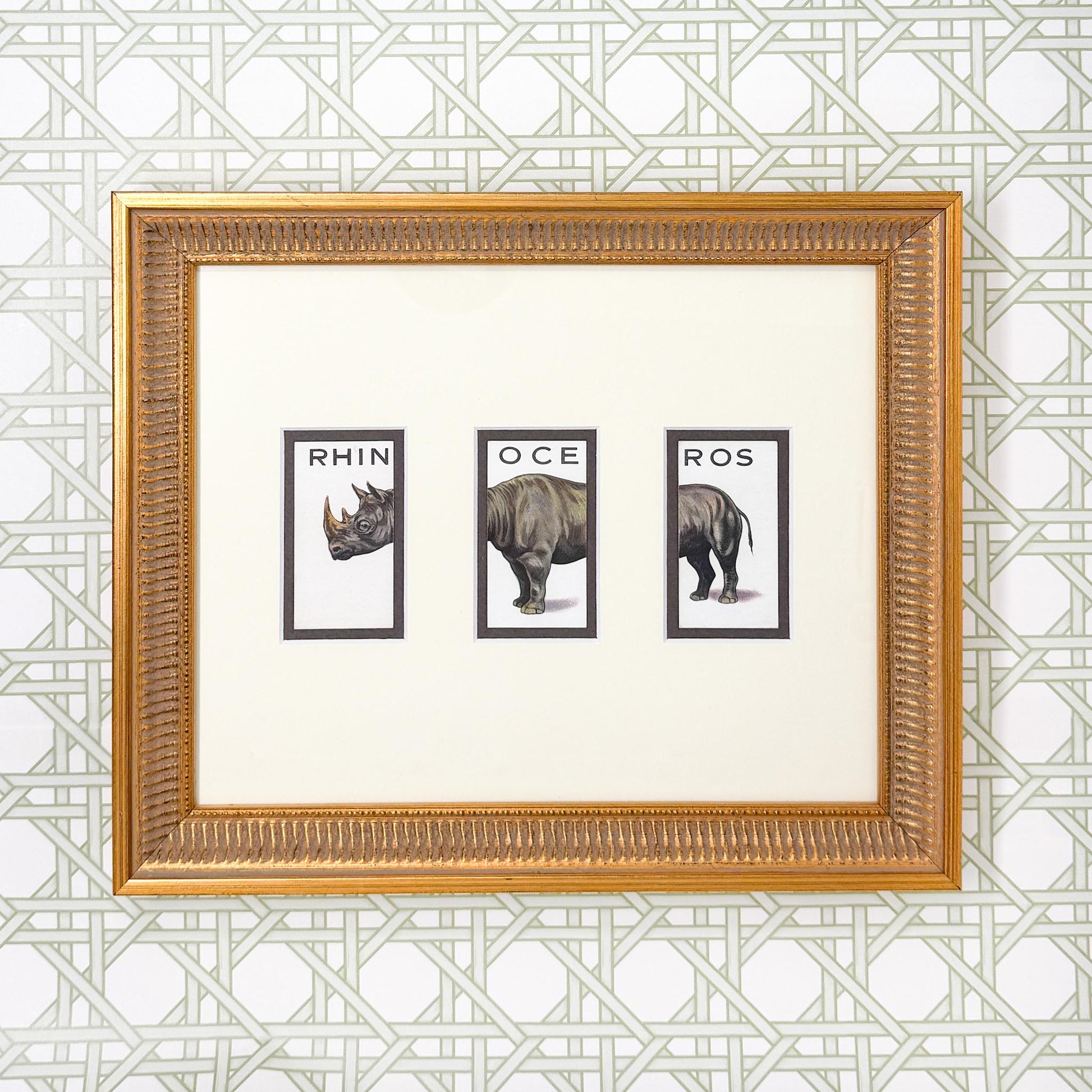 Framed Vintage Animalloys Cigarette Card c. 1934, Rhinoceros