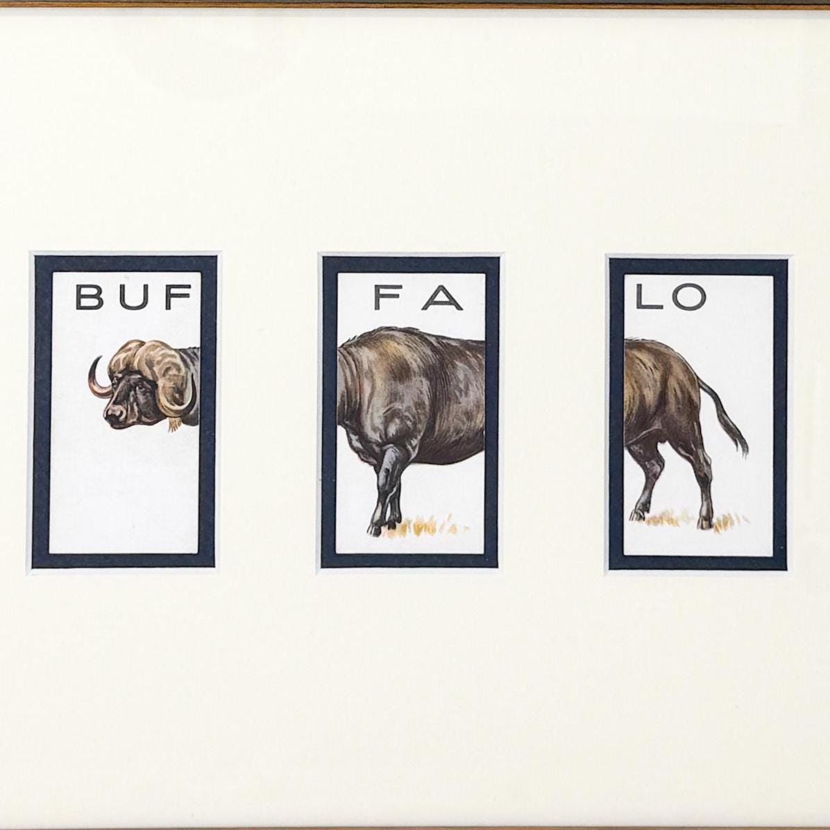 Framed Vintage Animalloys Cigarette Card c. 1934, Buffalo