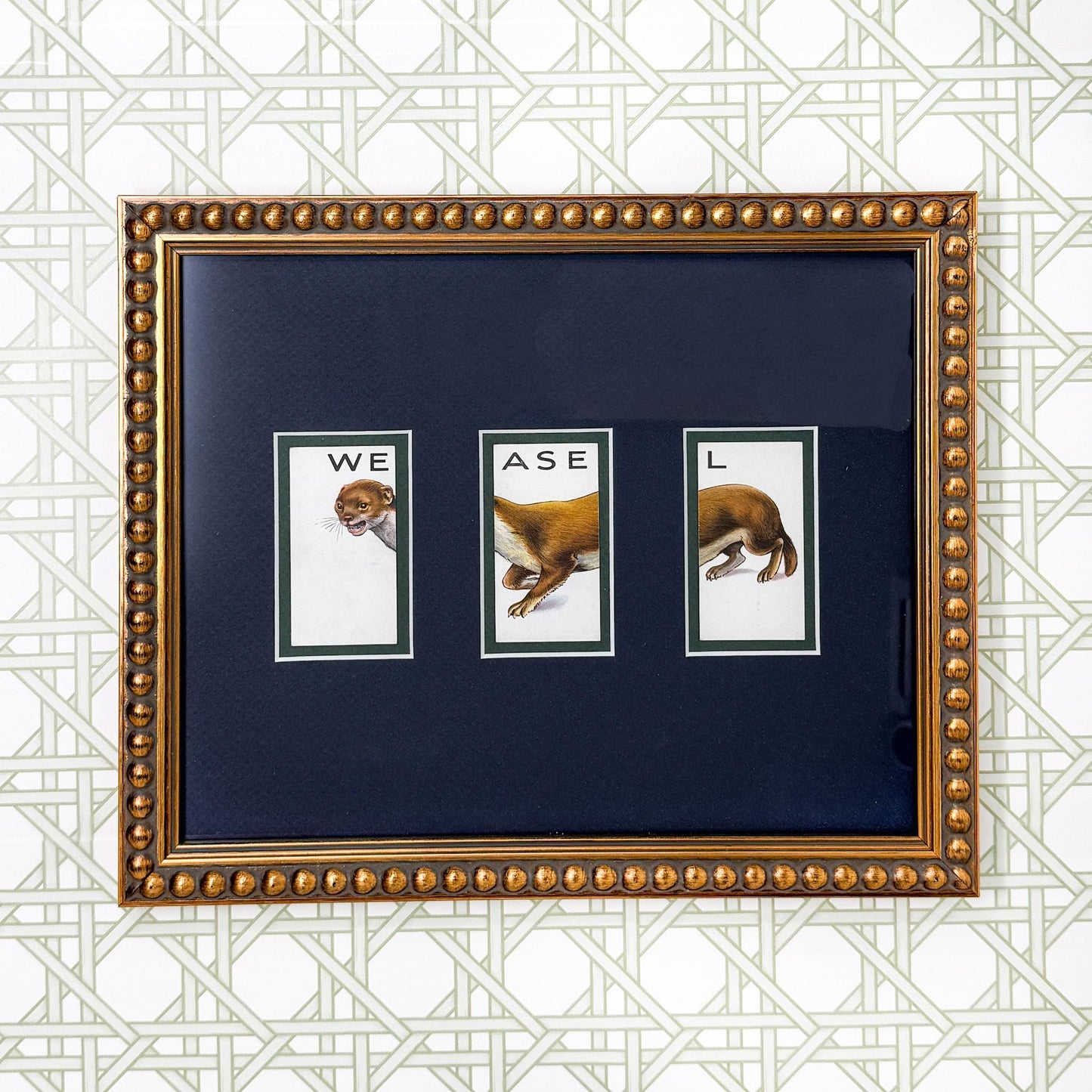 Framed Vintage Animalloys Cigarette Card c. 1934, Weasel