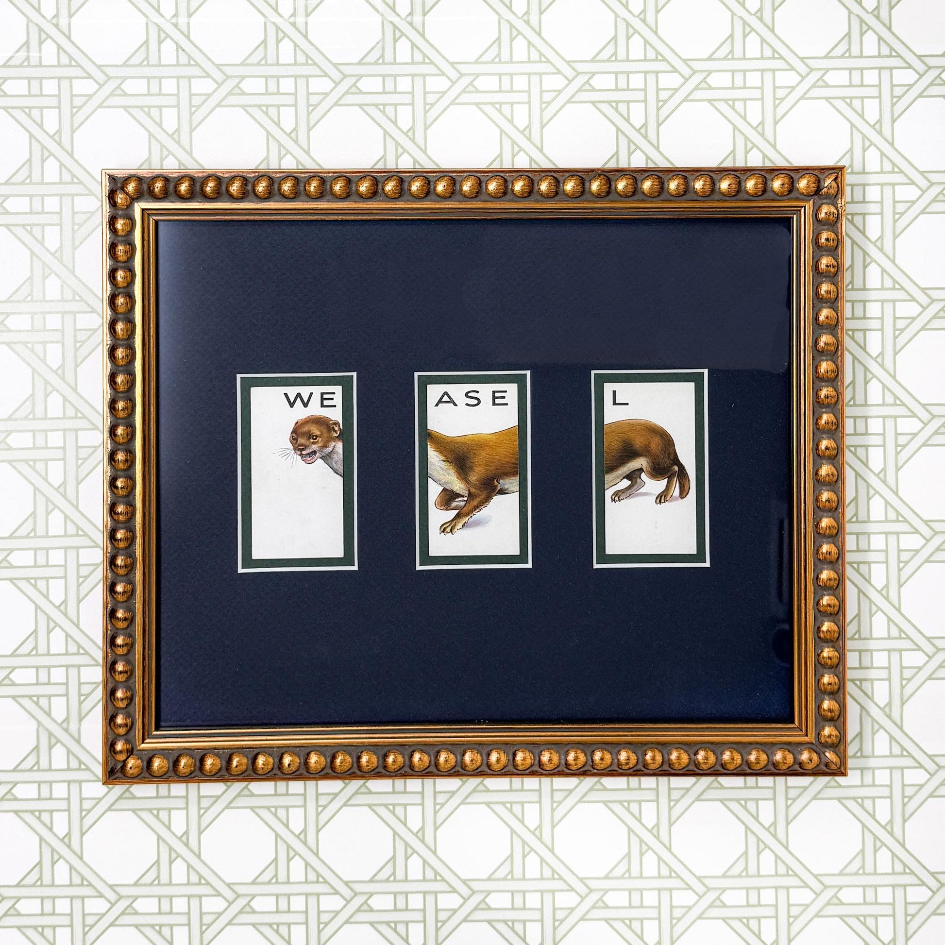 Framed Vintage Animalloys Cigarette Card c. 1934, Weasel