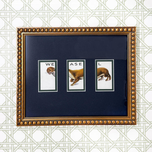Framed Vintage Animalloys Cigarette Card c. 1934, Weasel