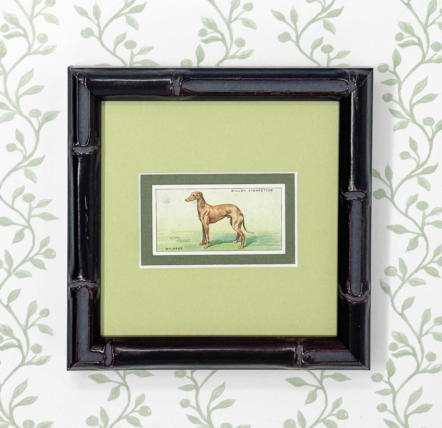 Framed Vintage Dog Cigarette Card c. 1937, Whippet