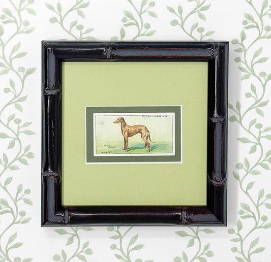 Framed Vintage Dog Cigarette Card c. 1937, Whippet