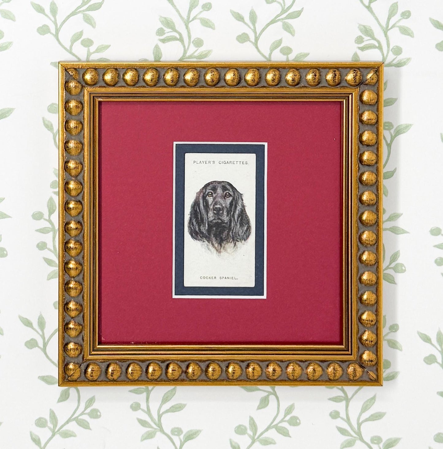 Framed Antique Dog Cigarette Card c. 1929, Cocker Spaniel