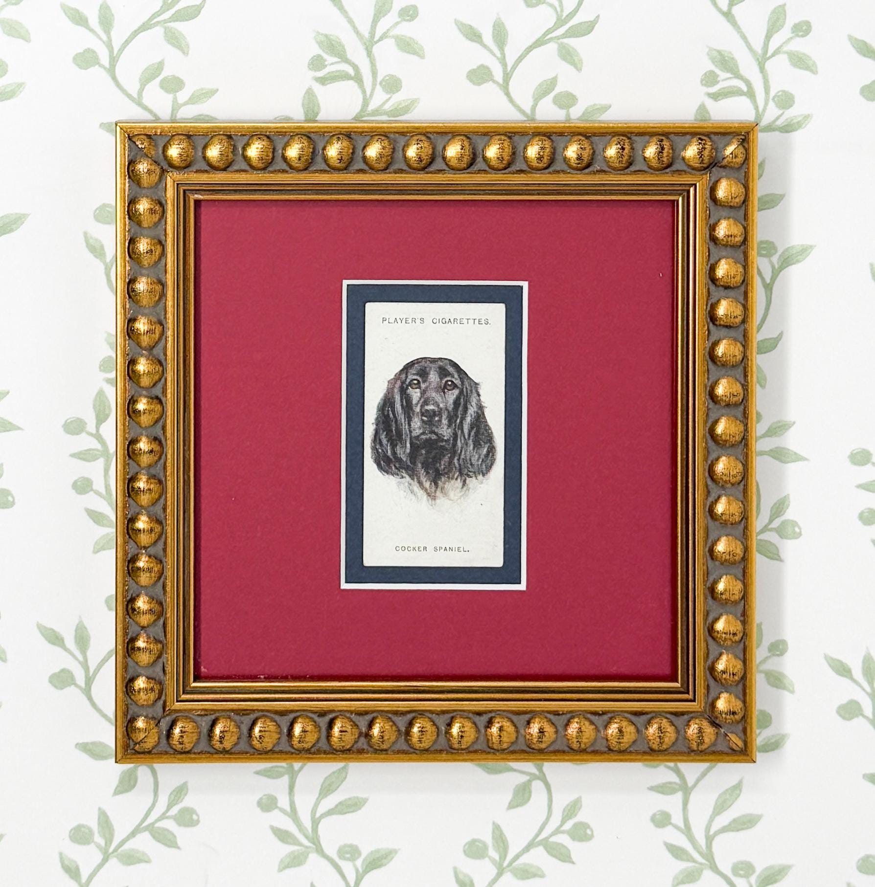 Framed Antique Dog Cigarette Card c. 1929, Cocker Spaniel