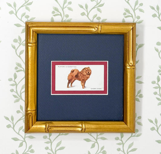 Framed Antique Dog Cigarette Card c. 1929, Chow Chow