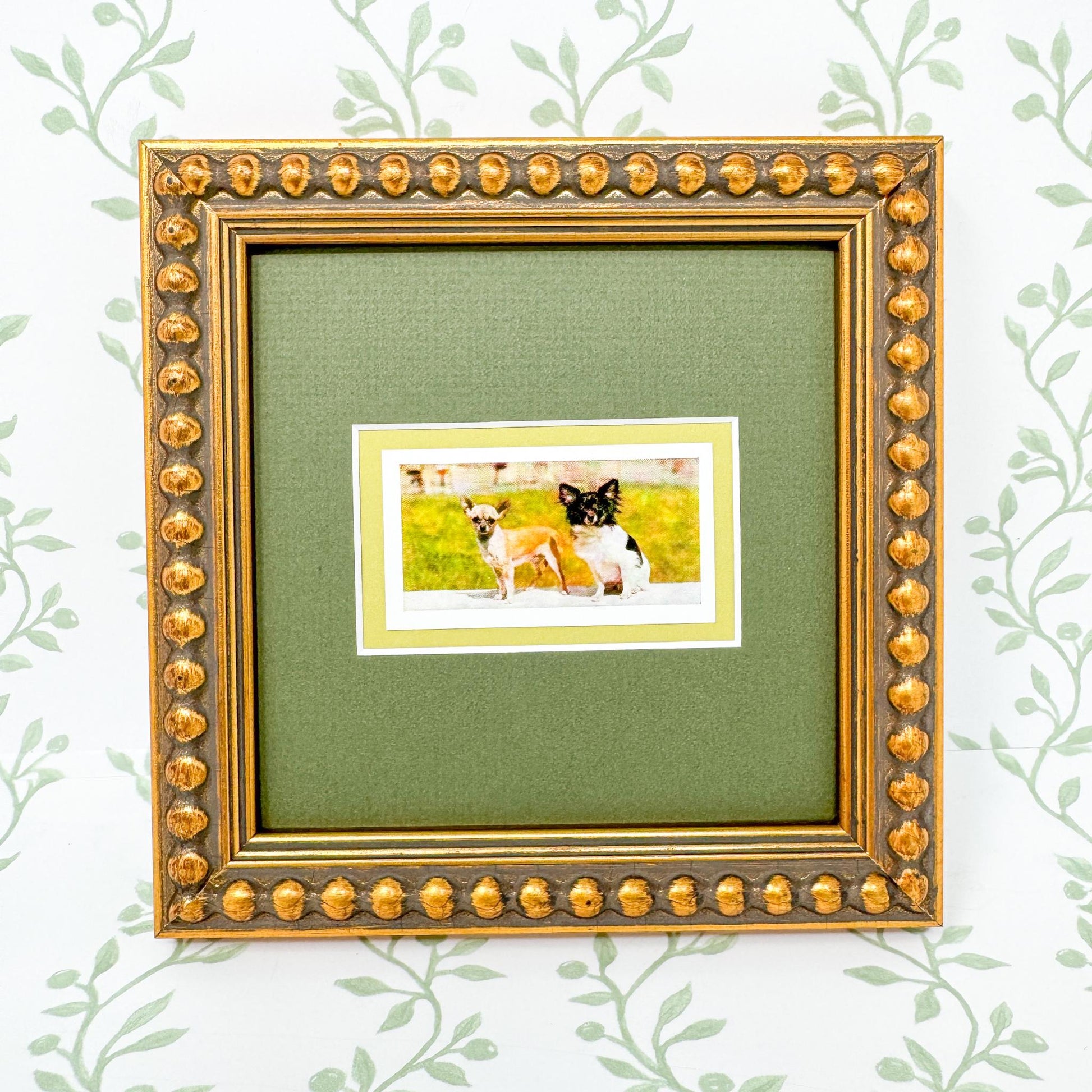 Framed Vintage Dog Cigarette Card, Chihuahua