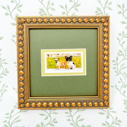 Framed Vintage Dog Cigarette Card, Chihuahua