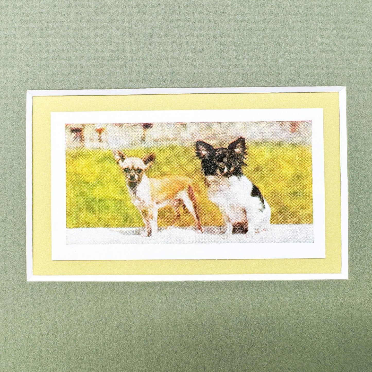 Framed Vintage Dog Cigarette Card, Chihuahua