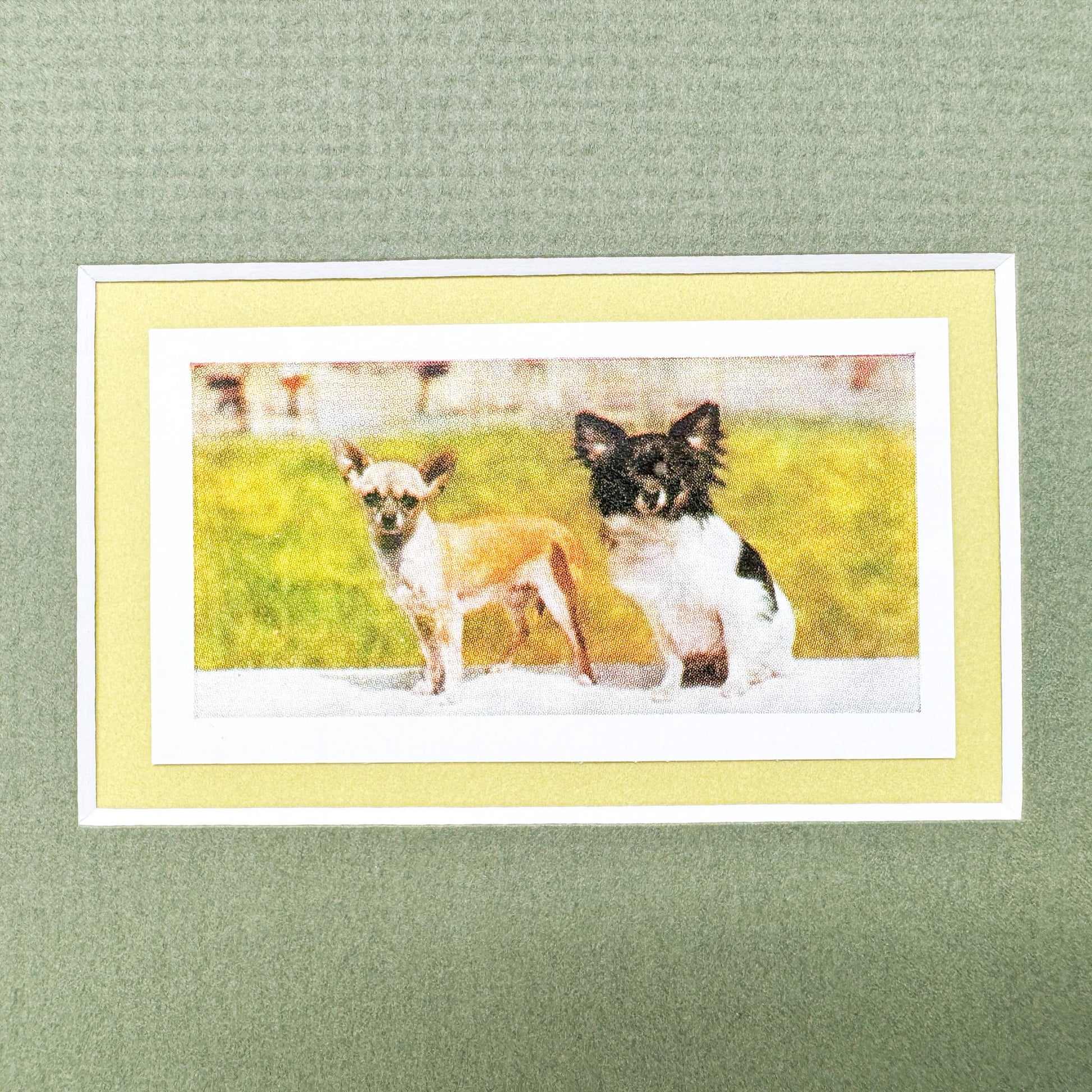 Framed Vintage Dog Cigarette Card, Chihuahua