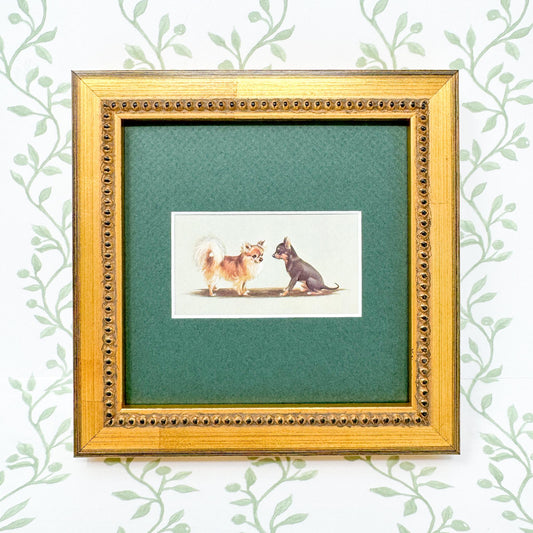 Framed Vintage Dog Cigarette Card c. 1971, Chihuahua