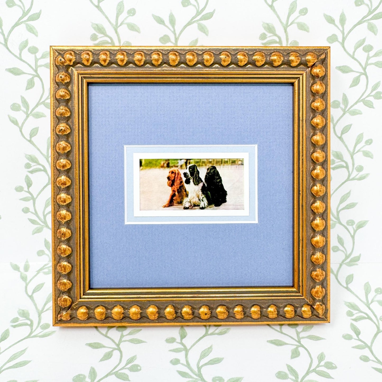 Framed Vintage Dog Cigarette Card, Cocker Spaniel