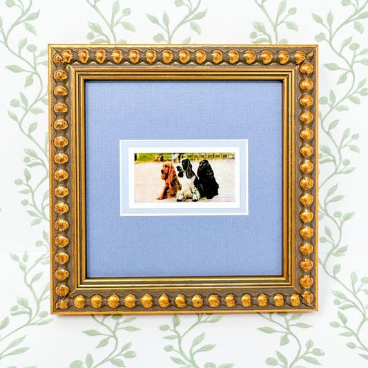 Framed Vintage Dog Cigarette Card, Cocker Spaniel