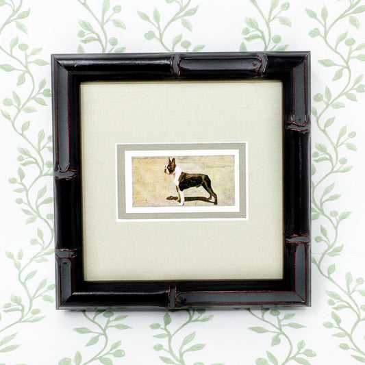 Framed Vintage Dog Cigarette Card, Boston Terrier