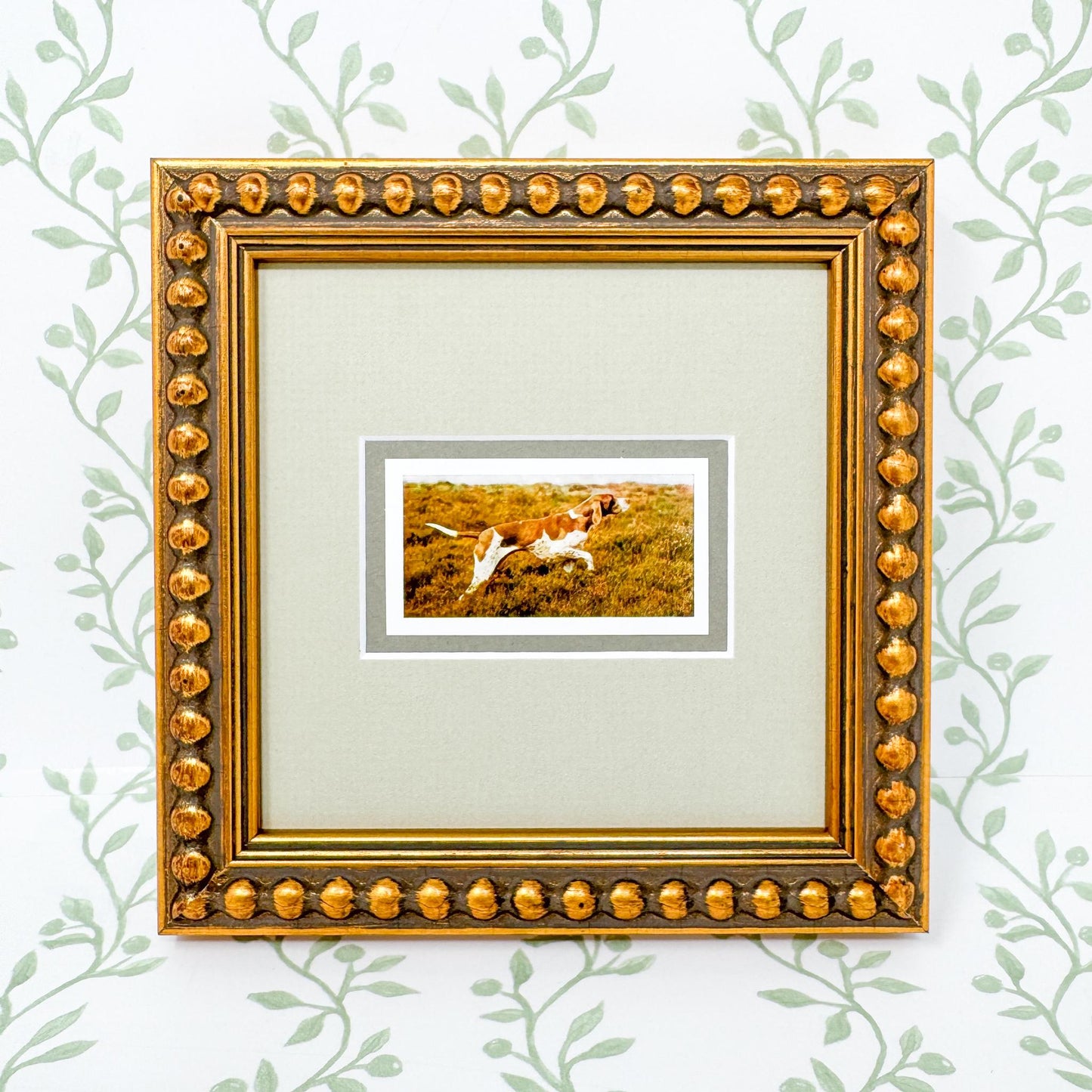 Framed Vintage Dog Cigarette Card, Pointer