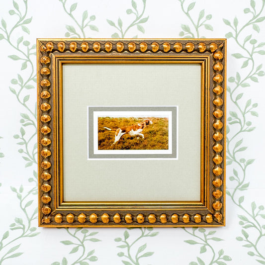 Framed Vintage Dog Cigarette Card, Pointer