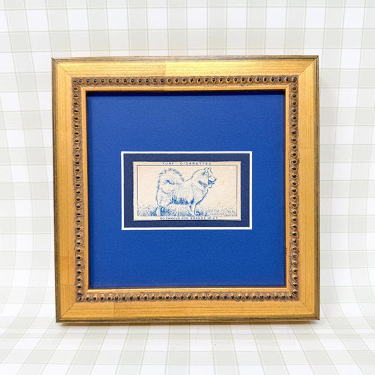 Framed Vintage Dog Cigarette Card c. 1952, Samoyed